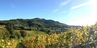 The EU’s shaky track record on environmental policy should serve as a warning for its “green deal”