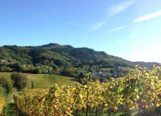 The EU’s shaky track record on environmental policy should serve as a warning for its “green deal”