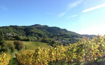 The EU’s shaky track record on environmental policy should serve as a warning for its “green deal”