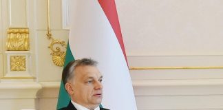 The “cordon sanitaire” in the European Parliament: a misguided strategy