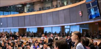 Decision making within international organisations: a one-sided echo chamber?