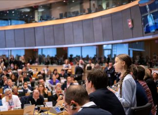 Decision making within international organisations: a one-sided echo chamber?