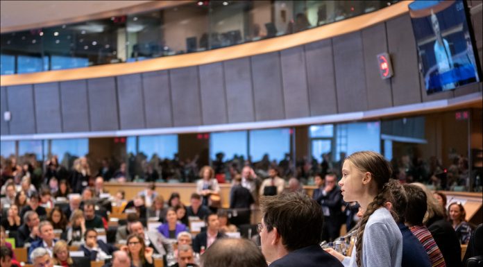 Decision making within international organisations: a one-sided echo chamber?