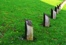 Property rights protection continues to decline globally