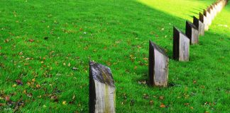 Property rights protection continues to decline globally