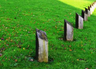 Property rights protection continues to decline globally