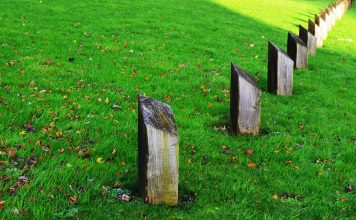 Property rights protection continues to decline globally