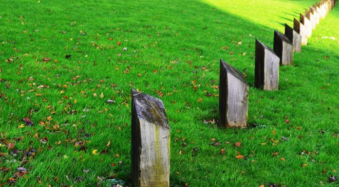 Property rights protection continues to decline globally