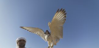 The United Arab Emirates as a crucial Western ally in the Middle East