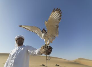 The United Arab Emirates as a crucial Western ally in the Middle East