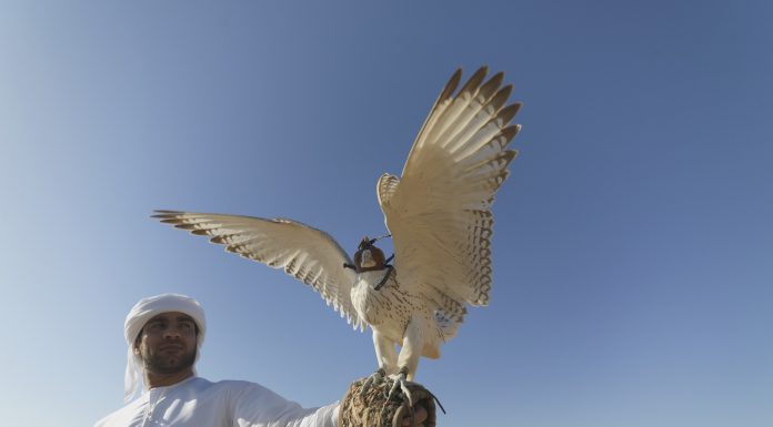 The United Arab Emirates as a crucial Western ally in the Middle East