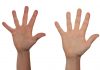 A closer look at new EU due diligence regulations aimed at countering forced labour