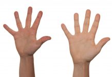 A closer look at new EU due diligence regulations aimed at countering forced labour