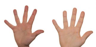 A closer look at new EU due diligence regulations aimed at countering forced labour