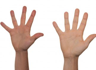 A closer look at new EU due diligence regulations aimed at countering forced labour