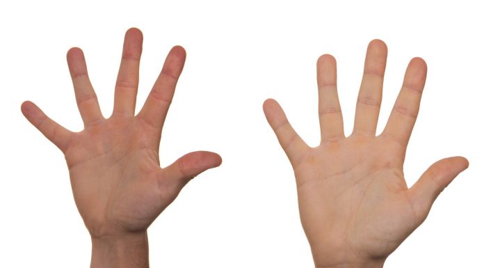 A closer look at new EU due diligence regulations aimed at countering forced labour