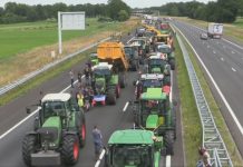 The solution to the Dutch nitrogen crisis is to modify EU rules