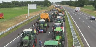 The solution to the Dutch nitrogen crisis is to modify EU rules