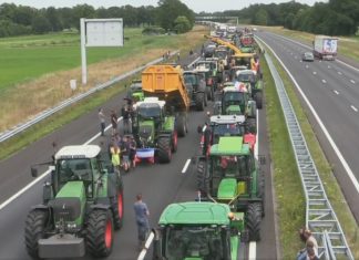 The solution to the Dutch nitrogen crisis is to modify EU rules