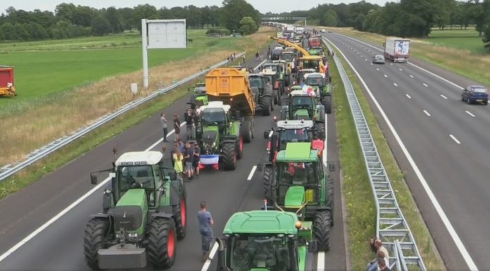 The solution to the Dutch nitrogen crisis is to modify EU rules