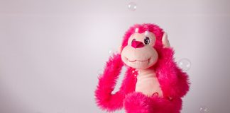 The EU’s health policies continue to ignore scientific evidence