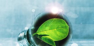 European Green Deal legislation needs to be reconsidered