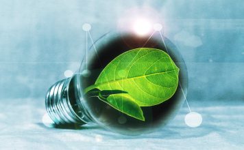 European Green Deal legislation needs to be reconsidered