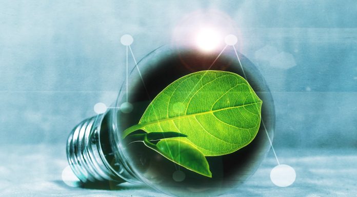 A new paradigm is needed for the green transition
