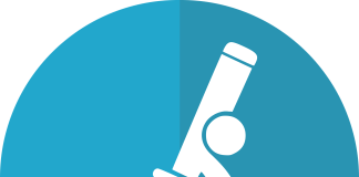 It is time for the EU to listen to science and consumers