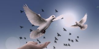 A ‘military solution’ for the war in Ukraine is an illusion