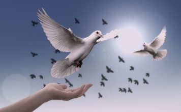 A ‘military solution’ for the war in Ukraine is an illusion