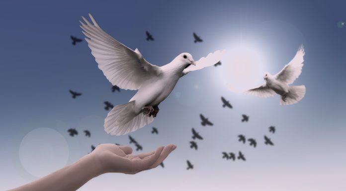 A ‘military solution’ for the war in Ukraine is an illusion