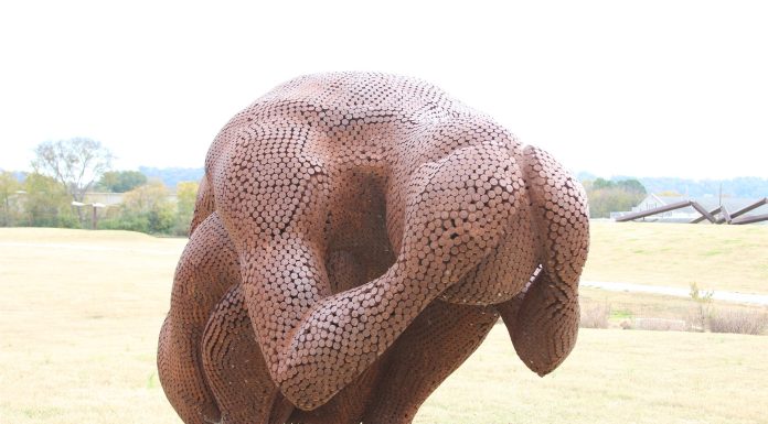 Climate anxiety leads to harmful green populism