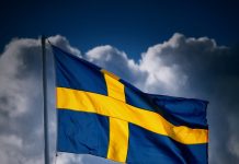 Sweden as a model for EU health policy