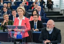 One year to stop the destruction of the EU