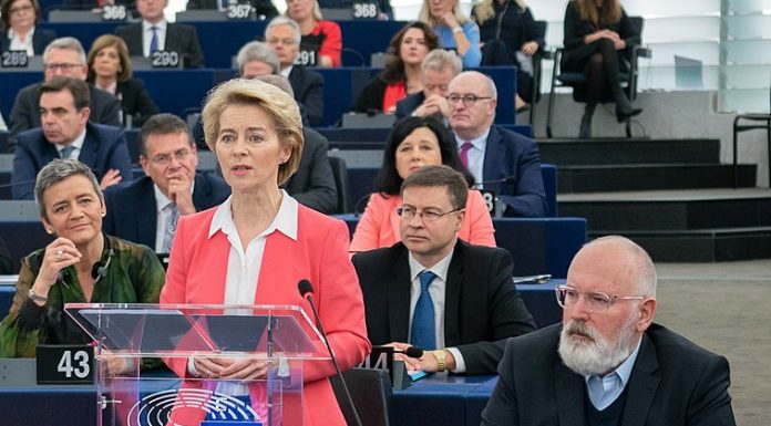 One year to stop the destruction of the EU