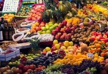 Geopolitical winter has come. The EU should look to the South if it is serious on food security