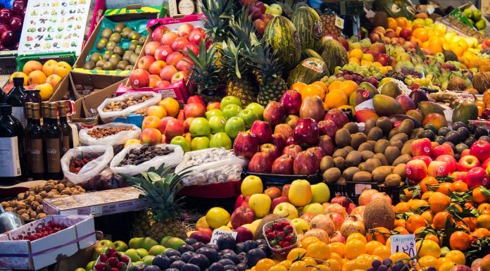 Geopolitical winter has come. The EU should look to the South if it is serious on food security