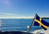 Sweden: The accidental harm-reduction champion