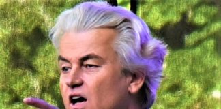 After the Wilders win, what’s next for the Netherlands?