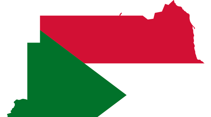 Darfur: a forgotten crisis, with relevance for Europe