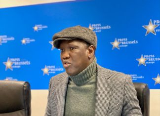 The Brussels Report Podcast Episode 34 with M’backé N’diaye – On Darfur