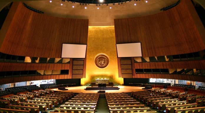 The UN is undermining the cause for property rights protection it is supposed to champion