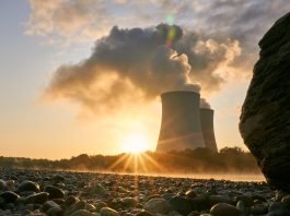 The Nuclear Alliance: How 14 EU States Are Rewriting Energy Policy