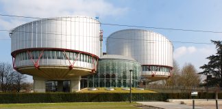 “The Strasbourg Human Rights Court has contributed to asylum chaos” – Former Belgian Constitutional Court President