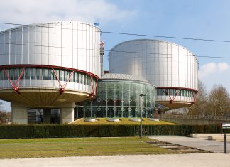 “The Strasbourg Human Rights Court has contributed to asylum chaos” – Former Belgian Constitutional Court President