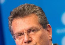 EU Court of Auditors slams joint EU purchasing of gas