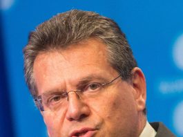 EU Court of Auditors slams joint EU purchasing of gas