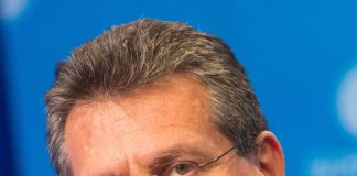 EU Court of Auditors slams joint EU purchasing of gas