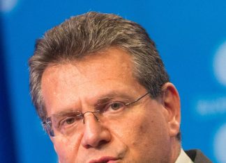 EU Court of Auditors slams joint EU purchasing of gas